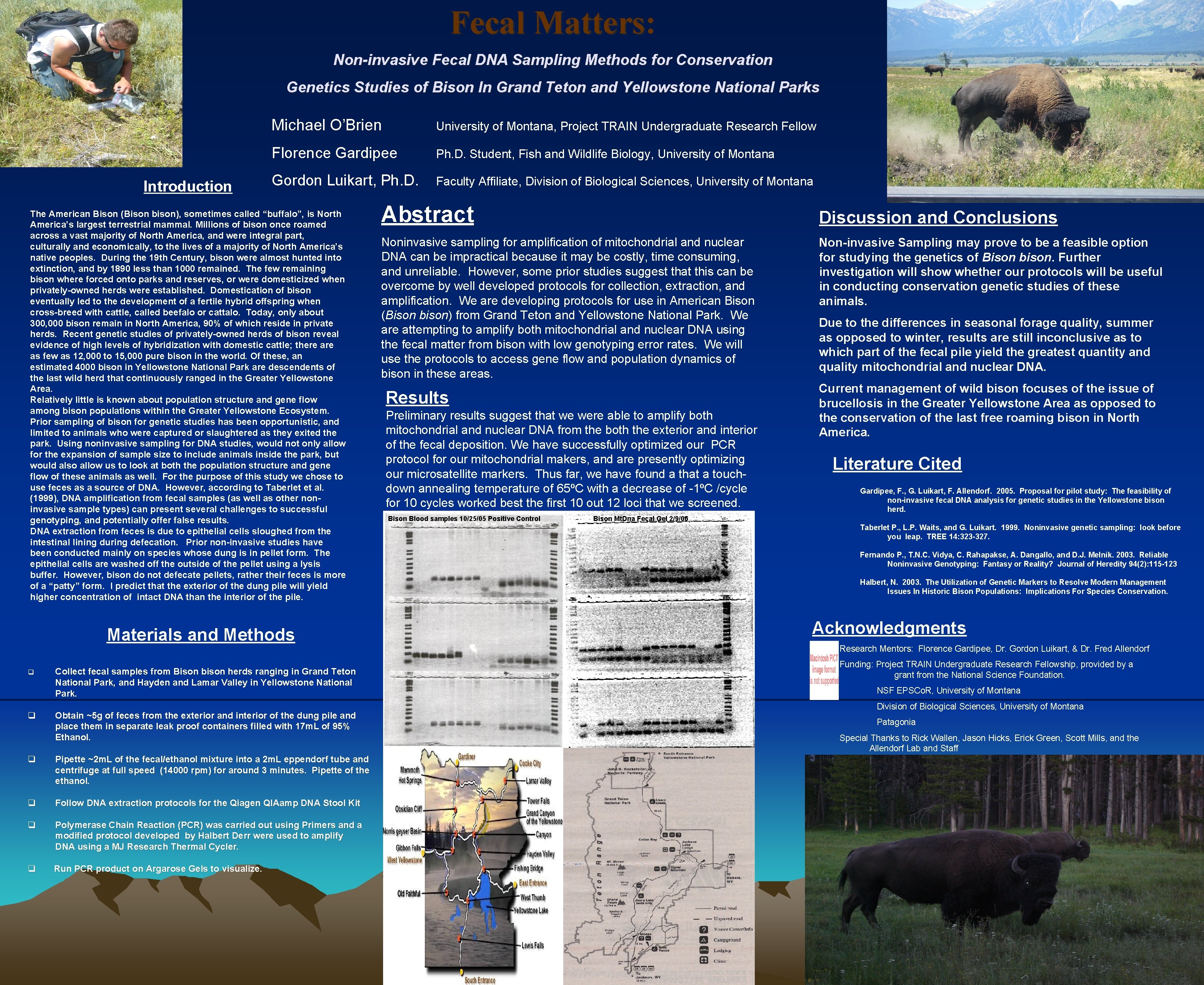 Fecal Matters: Matters Non-invasive Fecal DNA Sampling Methods for Conservation Genetics Studies of Bison