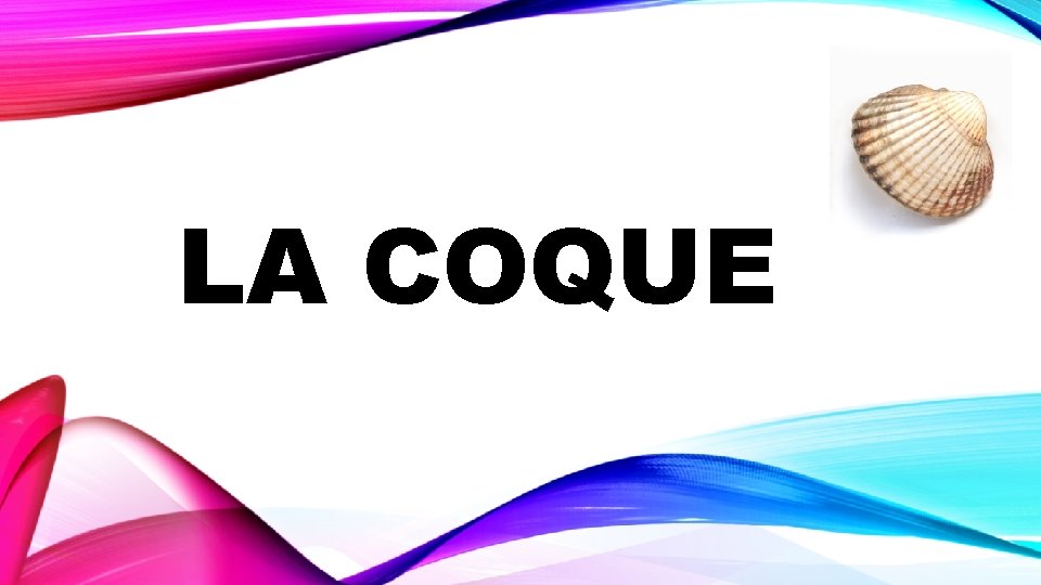 LA COQUE 