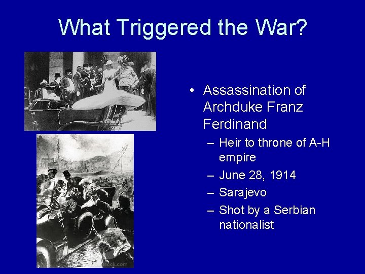 What Triggered the War? • Assassination of Archduke Franz Ferdinand – Heir to throne