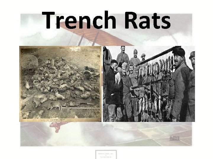 Trench Rats 