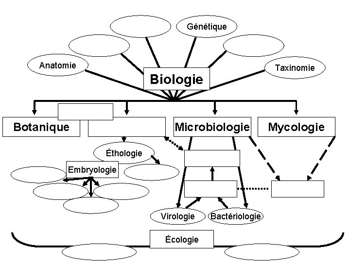 Génétique Anatomie Taxinomie Biologie Microbiologie Botanique Éthologie Embryologie Virologie Écologie Bactériologie Mycologie 