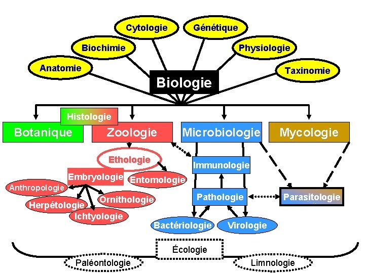 Cytologie Génétique Biochimie Physiologie Anatomie Taxinomie Biologie Histologie Botanique Zoologie Microbiologie Ethologie Anthropologie Mycologie