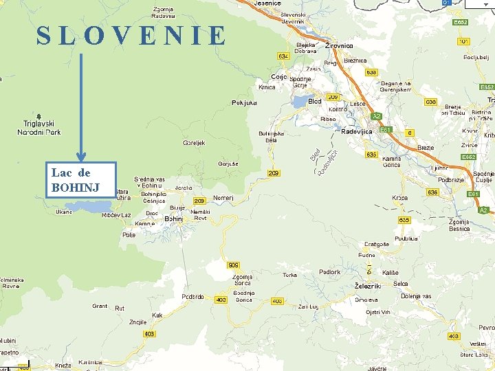 SLOVENIE Lac de BOHINJ 