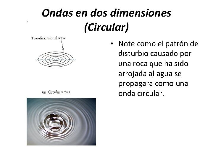 Ondas en dos dimensiones (Circular) • Note como el patrón de disturbio causado por