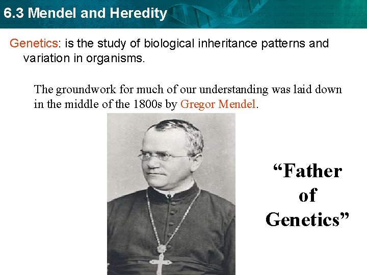 6. 3 Mendel and Heredity Genetics: is the study of biological inheritance patterns and