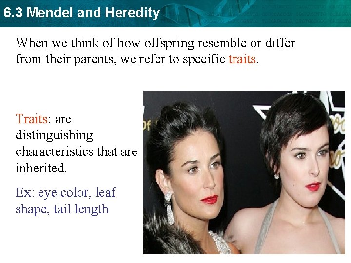 6. 3 Mendel and Heredity When we think of how offspring resemble or differ