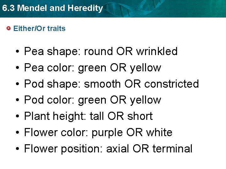 6. 3 Mendel and Heredity Either/Or traits • • Pea shape: round OR wrinkled
