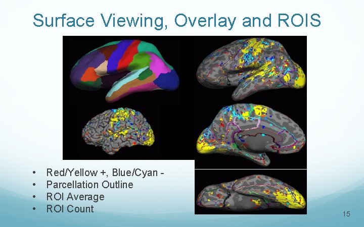 Surface Viewing, Overlay and ROIS • • Red/Yellow +, Blue/Cyan Parcellation Outline ROI Average