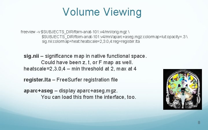 Volume Viewing freeview -v $SUBJECTS_DIR/fbirn-anat-101. v 4/mri/orig. mgz  $SUBJECTS_DIR/fbirn-anat-101. v 4/mri/aparc+aseg. mgz: colormap=lut: