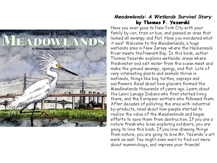 Meadowlands: A Wetlands Survival Story by Thomas F. Yezerski Have you ever gone to