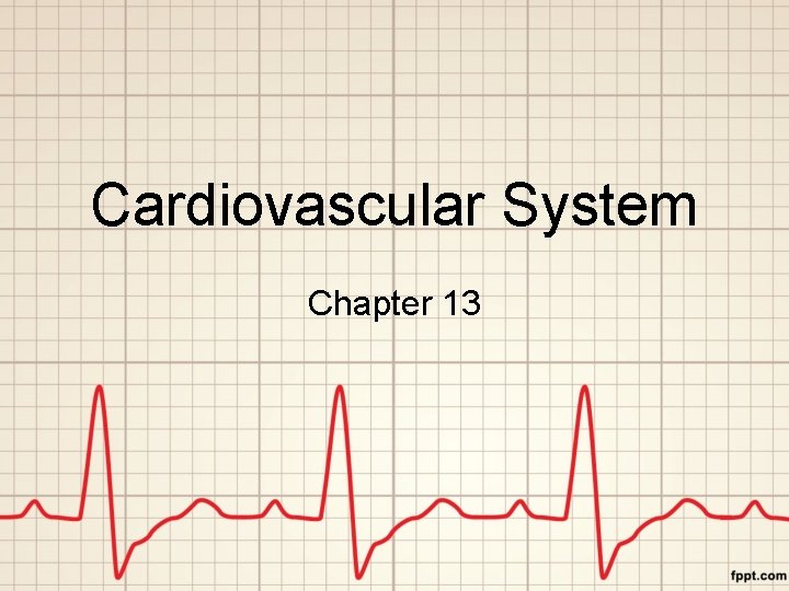 Cardiovascular System Chapter 13 