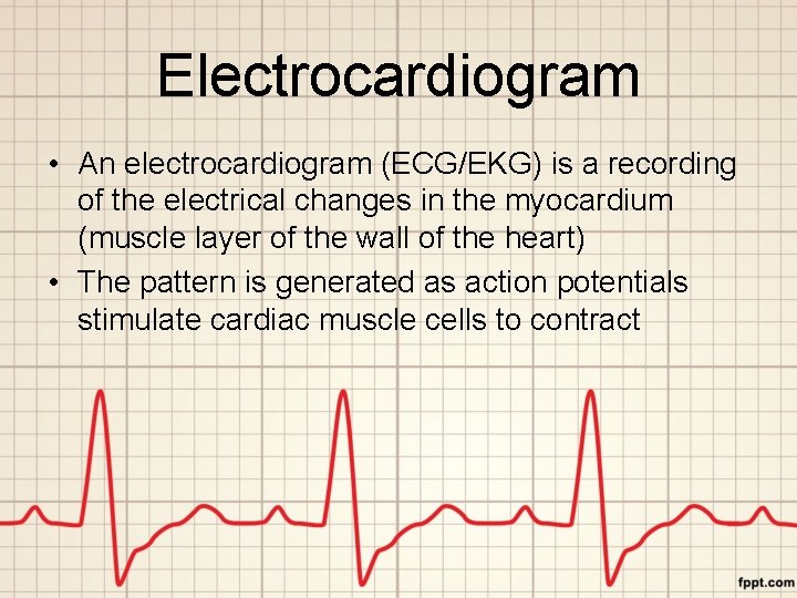 Electrocardiogram • An electrocardiogram (ECG/EKG) is a recording of the electrical changes in the