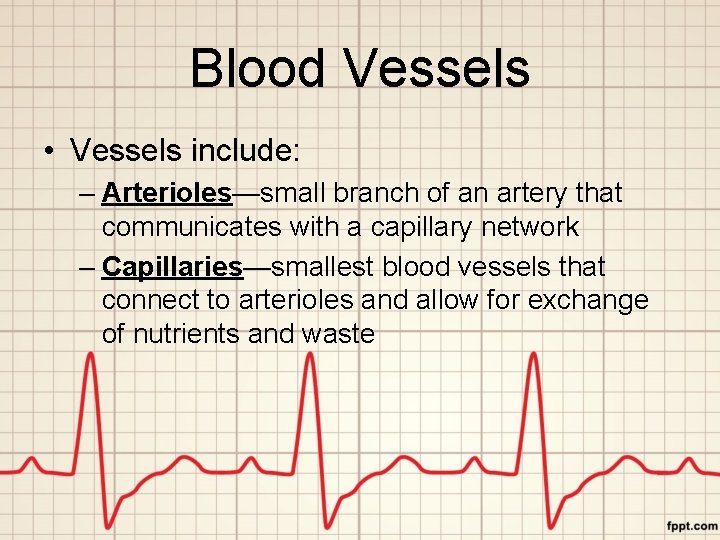 Blood Vessels • Vessels include: – Arterioles—small branch of an artery that communicates with