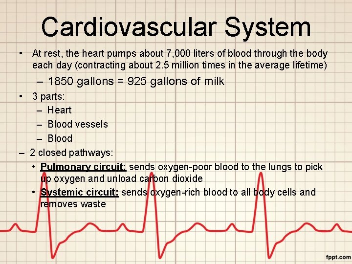 Cardiovascular System • At rest, the heart pumps about 7, 000 liters of blood