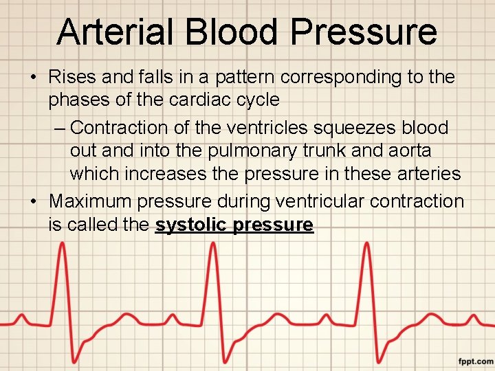 Arterial Blood Pressure • Rises and falls in a pattern corresponding to the phases