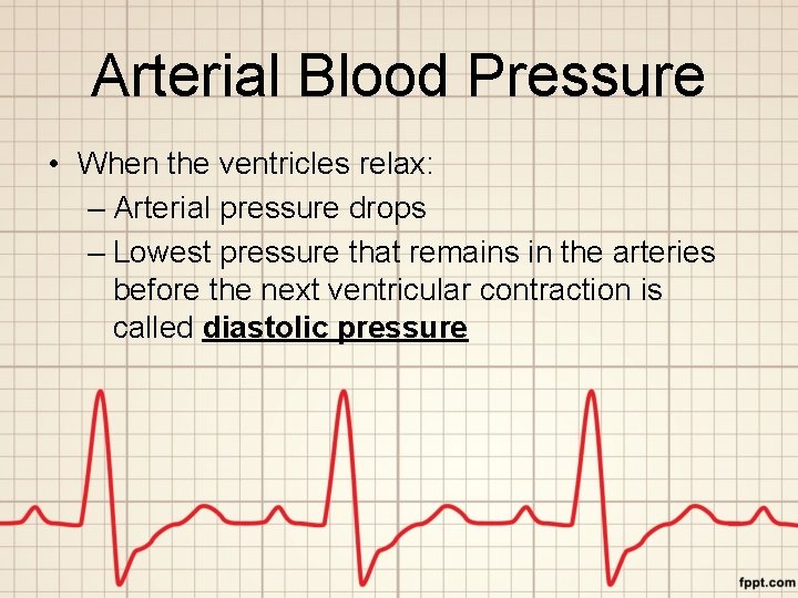 Arterial Blood Pressure • When the ventricles relax: – Arterial pressure drops – Lowest