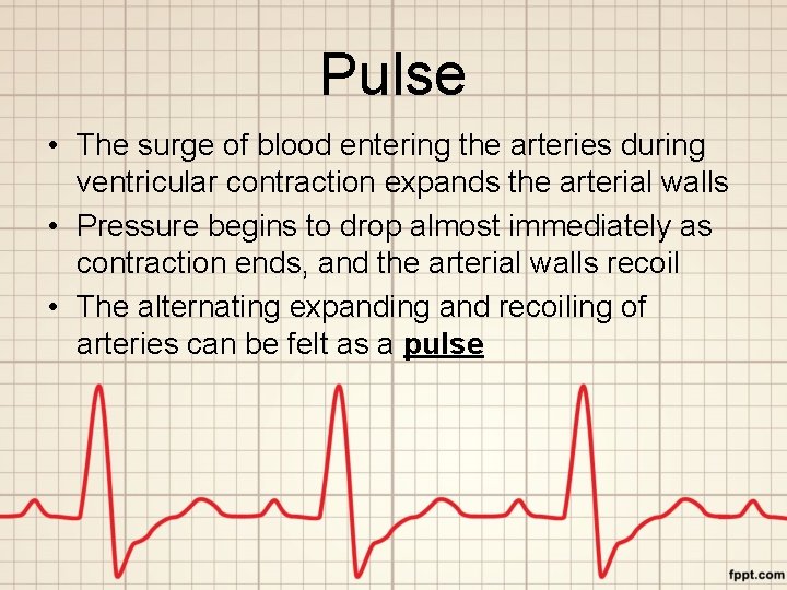 Pulse • The surge of blood entering the arteries during ventricular contraction expands the