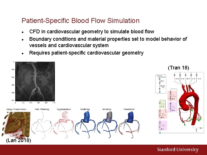 Patient-Specific Blood Flow Simulation CFD in cardiovascular geometry to simulate blood flow Boundary conditions