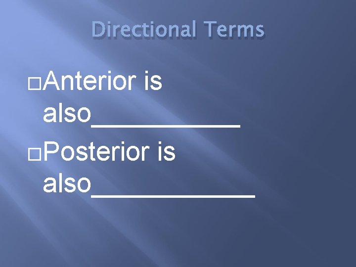 Directional Terms Anterior is also_____ Posterior is also______ 