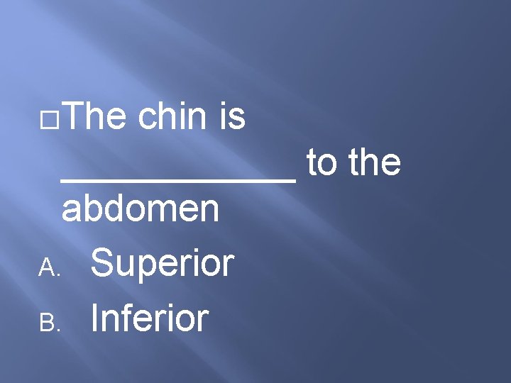  The chin is ______ to the abdomen A. Superior B. Inferior 