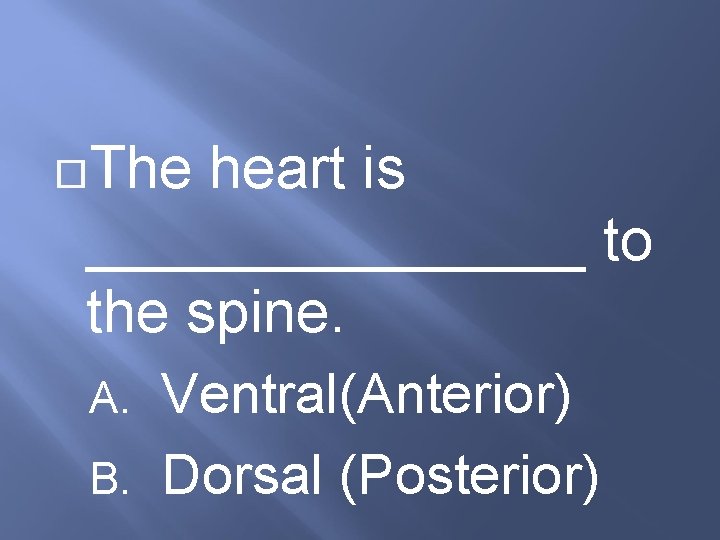  The heart is ________ to the spine. Ventral(Anterior) B. Dorsal (Posterior) A. 