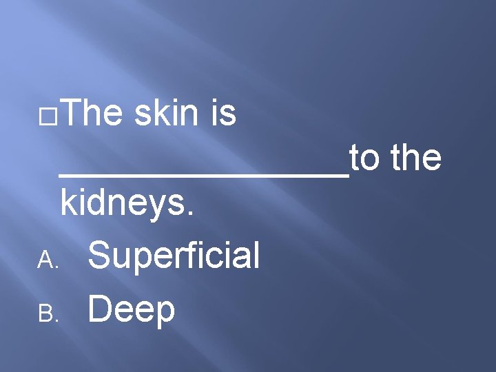  The skin is _______to the kidneys. A. Superficial B. Deep 