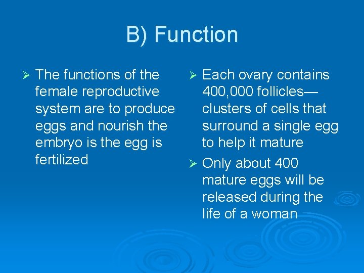 B) Function Ø The functions of the Ø Each ovary contains female reproductive 400,