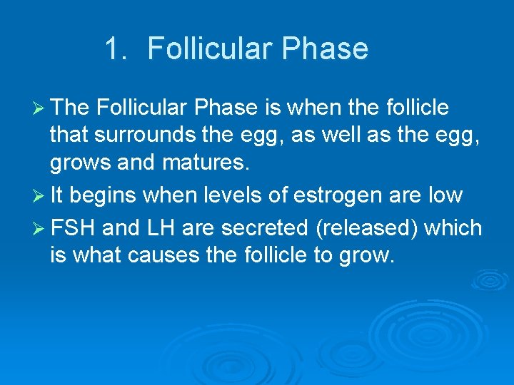 1. Follicular Phase Ø The Follicular Phase is when the follicle that surrounds the