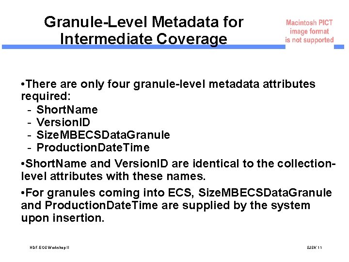 Granule-Level Metadata for Intermediate Coverage • There are only four granule-level metadata attributes required: