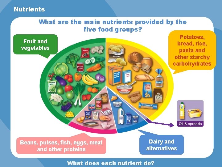 Nutrients What are the main nutrients provided by the five food groups? Potatoes, bread,