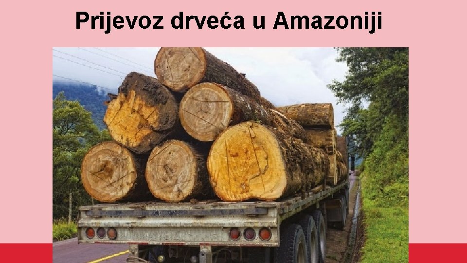 Prijevoz drveća u Amazoniji 