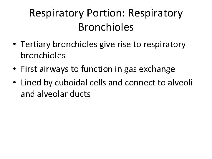 Respiratory Portion: Respiratory Bronchioles • Tertiary bronchioles give rise to respiratory bronchioles • First