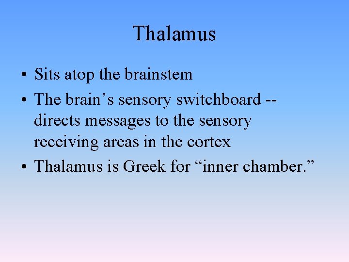 Thalamus • Sits atop the brainstem • The brain’s sensory switchboard -directs messages to Thalamus • Sits atop the brainstem • The brain’s sensory switchboard -directs messages to