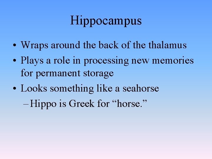 Hippocampus • Wraps around the back of the thalamus • Plays a role in Hippocampus • Wraps around the back of the thalamus • Plays a role in