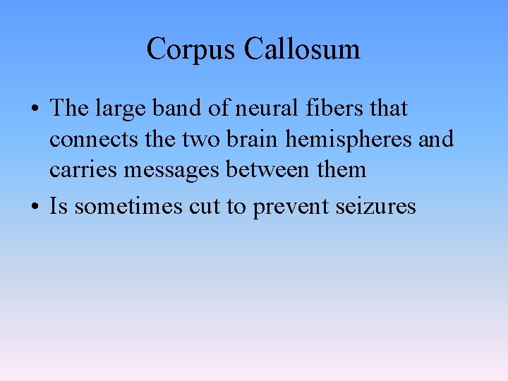 Corpus Callosum • The large band of neural fibers that connects the two brain Corpus Callosum • The large band of neural fibers that connects the two brain