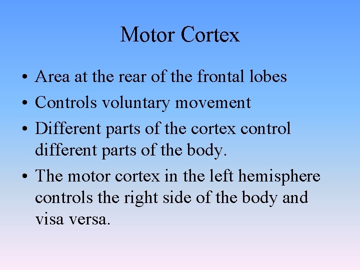 Motor Cortex • Area at the rear of the frontal lobes • Controls voluntary Motor Cortex • Area at the rear of the frontal lobes • Controls voluntary
