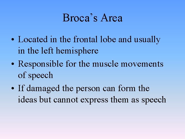 Broca’s Area • Located in the frontal lobe and usually in the left hemisphere Broca’s Area • Located in the frontal lobe and usually in the left hemisphere