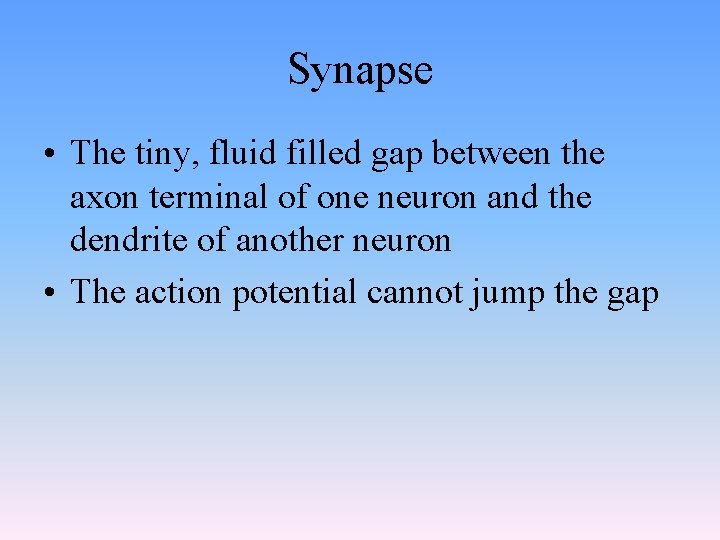 Synapse • The tiny, fluid filled gap between the axon terminal of one neuron Synapse • The tiny, fluid filled gap between the axon terminal of one neuron