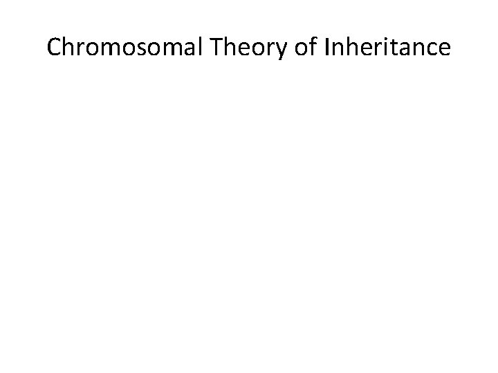 Chromosomal Theory of Inheritance 