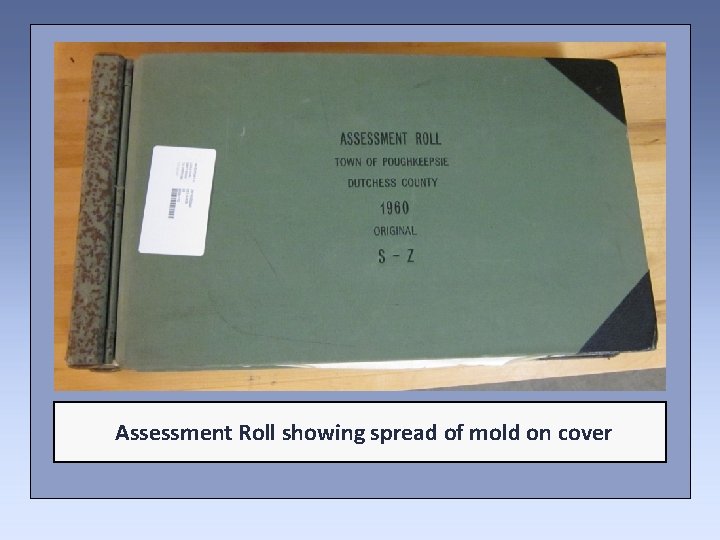 Assessment Roll showing spread of mold on cover 
