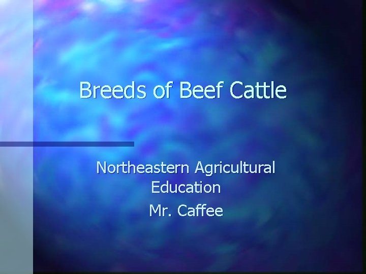 Breeds of Beef Cattle Northeastern Agricultural Education Mr. Caffee 
