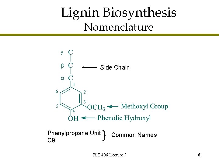 Wood Chemistry PSE 406 Lecture 9 Lignin Biosynthesis