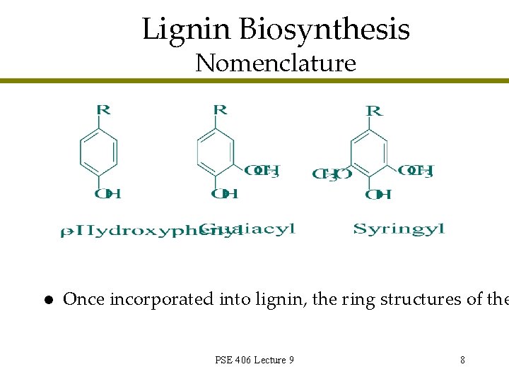 Wood Chemistry PSE 406 Lecture 9 Lignin Biosynthesis