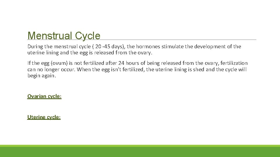 Menstrual Cycle During the menstrual cycle ( 20 -45 days), the hormones stimulate the