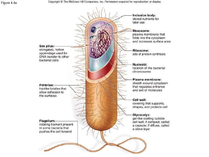 Figure 4. 4 a Figure 4. 4 a
