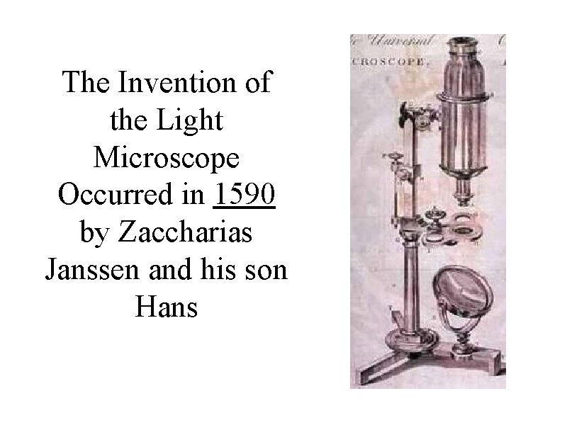 The Invention of the Light Microscope Occurred in 1590 by Zaccharias Janssen and his The Invention of the Light Microscope Occurred in 1590 by Zaccharias Janssen and his
