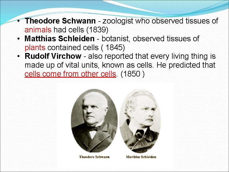 • Theodore Schwann - zoologist who observed tissues of animals had cells (1839) • Theodore Schwann - zoologist who observed tissues of animals had cells (1839)