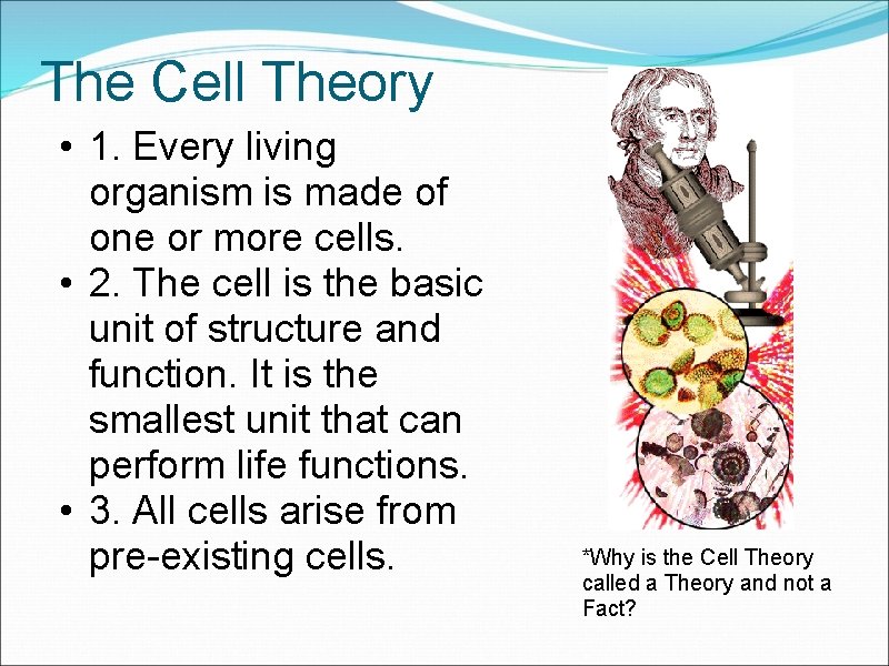 The Cell Theory • 1. Every living organism is made of one or more The Cell Theory • 1. Every living organism is made of one or more