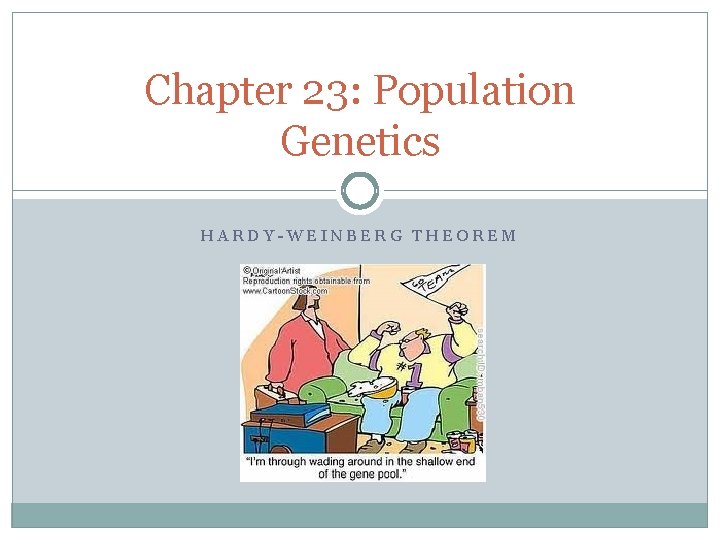 Chapter 23: Population Genetics HARDY-WEINBERG THEOREM 