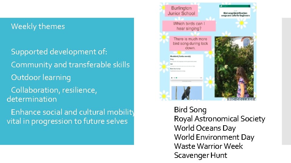  Weekly themes Supported development of: Community and transferable skills Outdoor learning Collaboration, resilience,